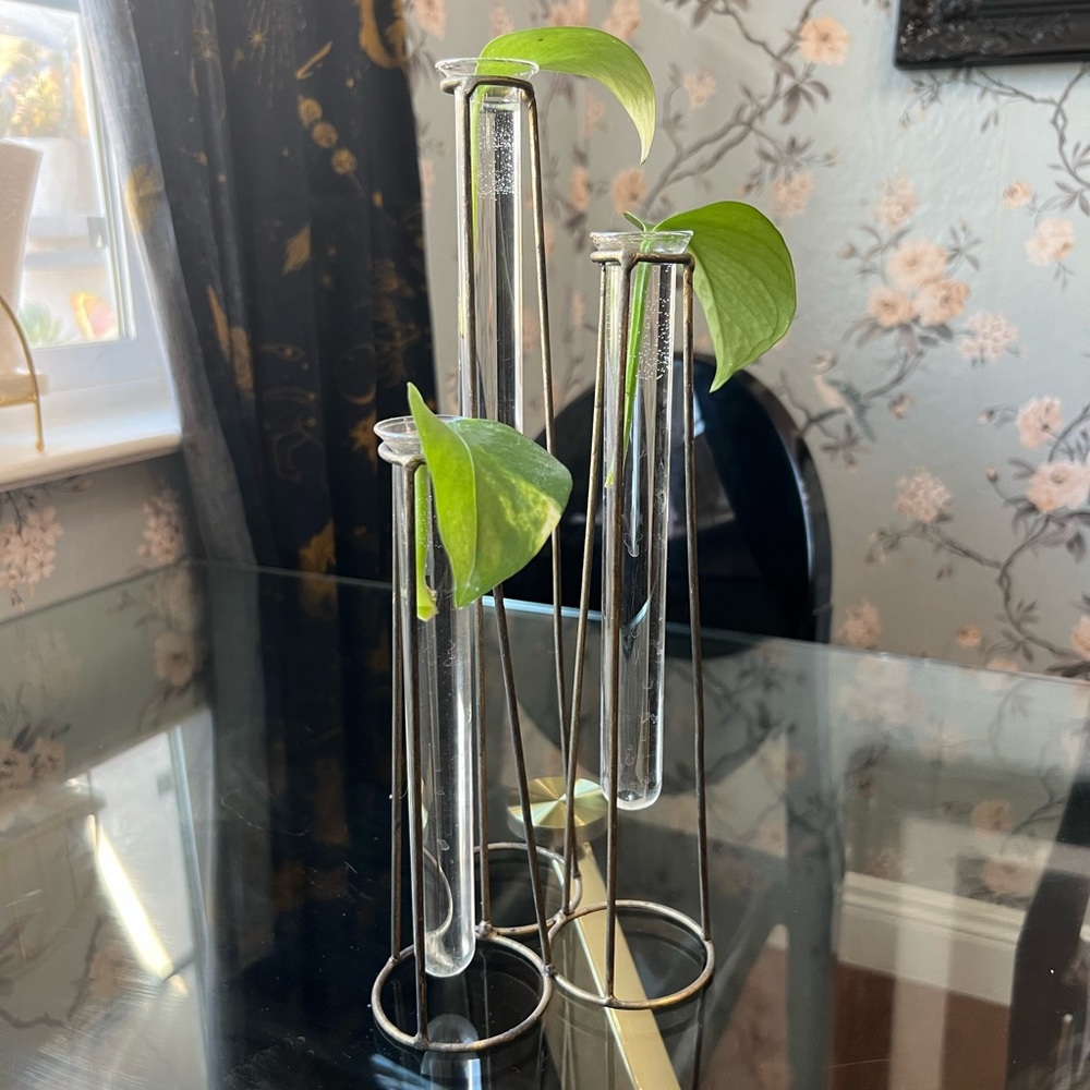 4 SETS - Test Tube Decor